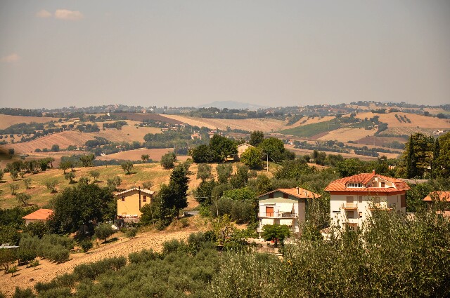 min 2009 08 18 ostra 118